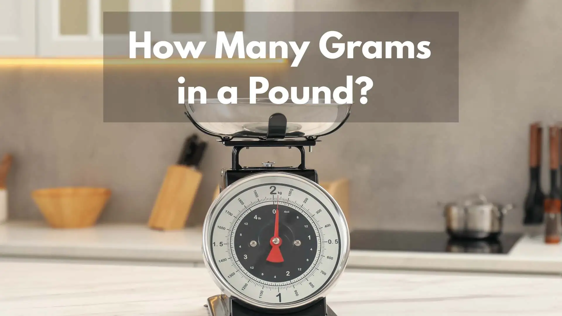 How Many Grams in a Pound