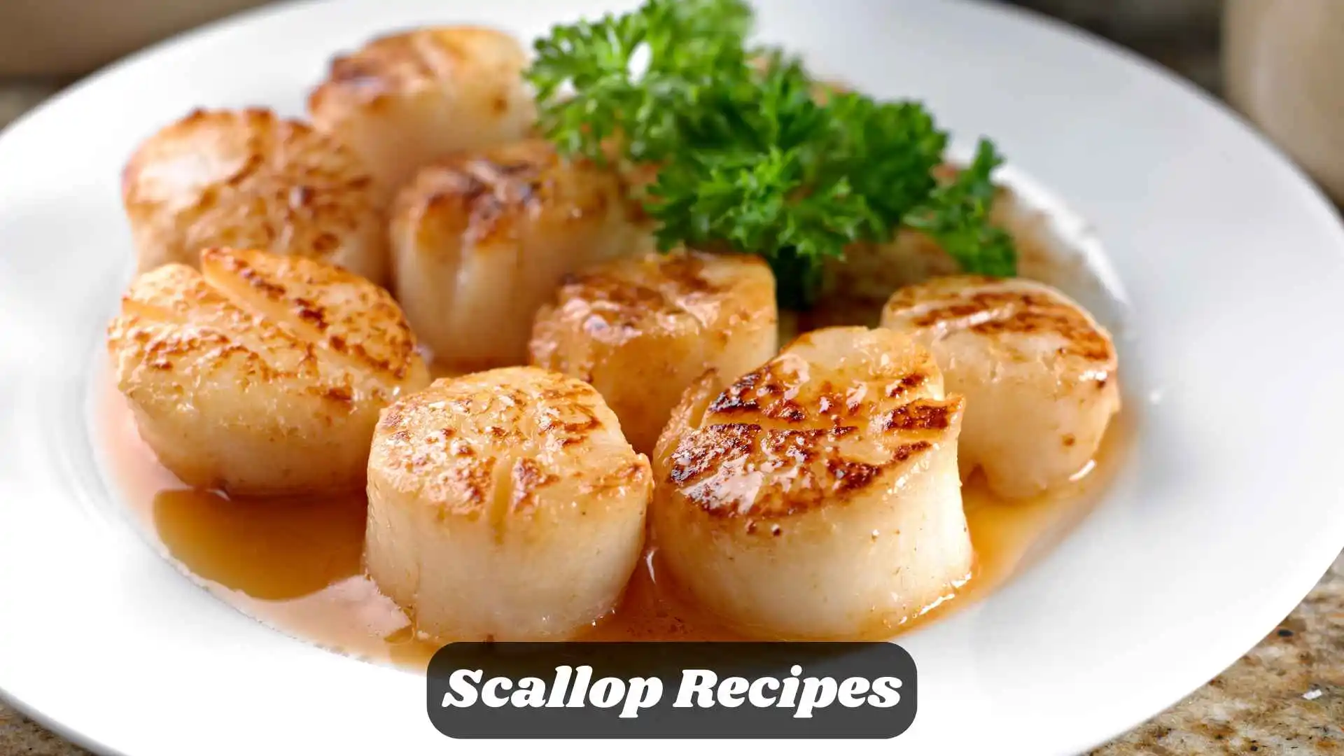 Scallop Recipes