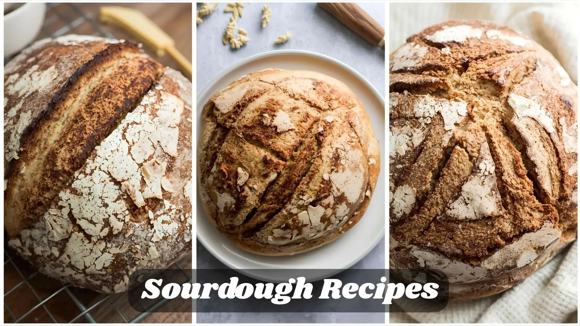 Sourdough Recipes